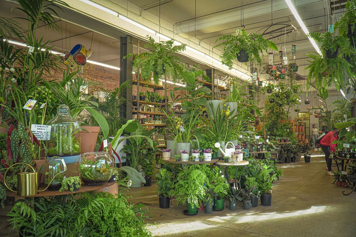 Inside the Fern & Co. store