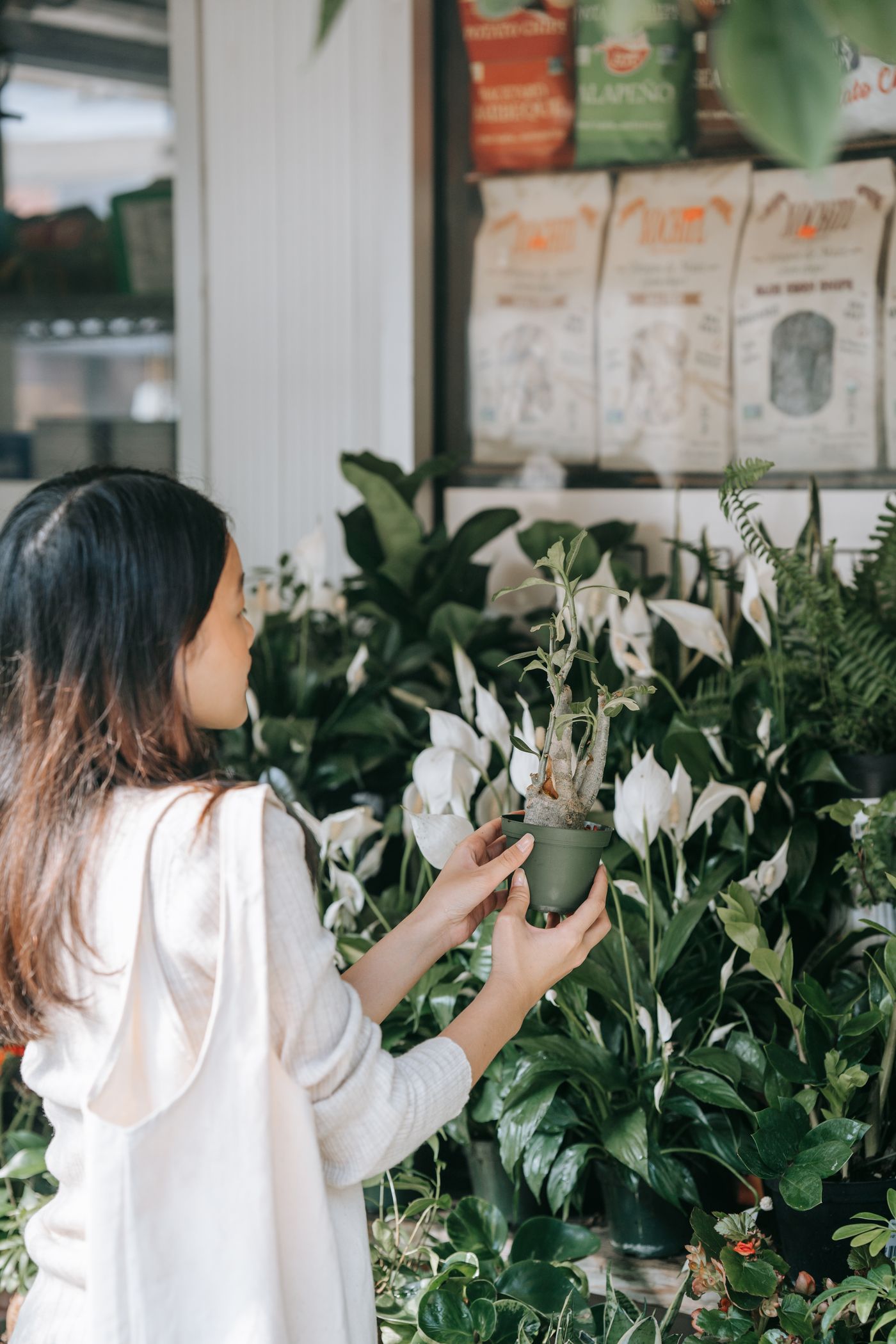 Choosing plants at Fern & Co.